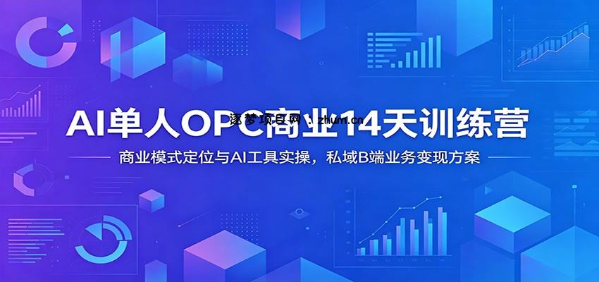 AI单人OPC商业14天训练营：商业模式定位与AI工具实操，私域B端业务变现方案-逐梦项目网