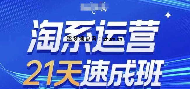 淘系运营21天速成班，0基础轻松搞定淘系运营，不做假把式，快速复制落地(更新26年6月)-逐梦项目网