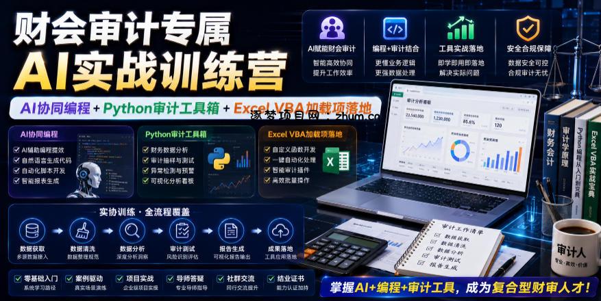 财会审计专属AI实战训练营｜AI协同编程+Python审计工具箱+Excel VBA加载项落地-逐梦项目网