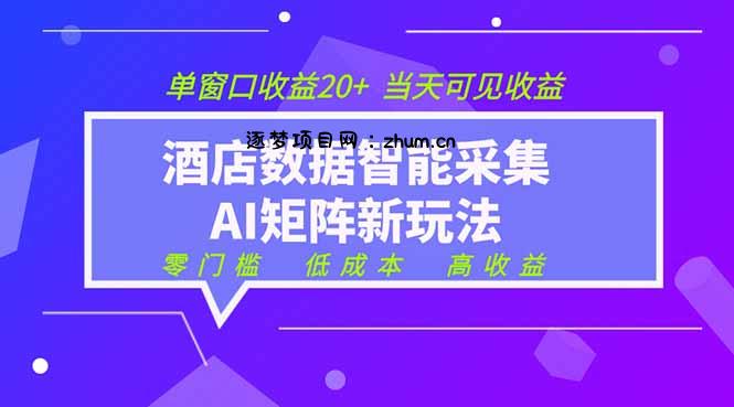 2026酒店数据采集ai智能矩阵新风口  低成本   高收益   当天见收益   单窗口20+-逐梦项目网