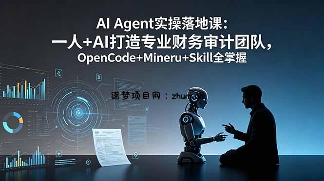 AI Agent实操落地课：一人+AI打造专业财务审计团队，OpenCode+Mineru+Skill全掌握-逐梦项目网