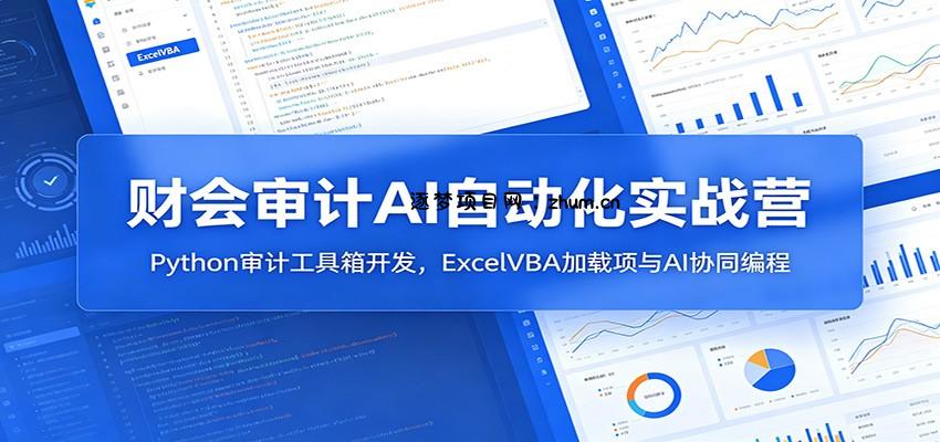财会审计AI自动化实战营：Python审计工具箱开发，ExcelVBA加载项与AI协同编程-逐梦项目网