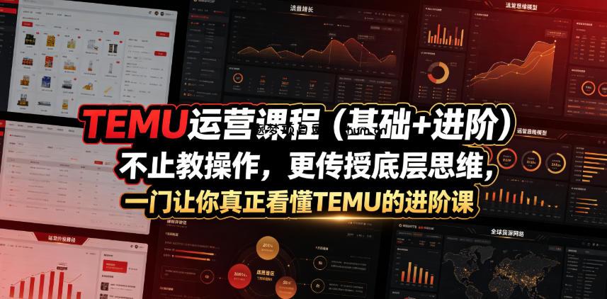 TEMU运营课程(基础+进阶),不止教操作,更传授底层思维,一门让你真正看懂TEMU的进阶课