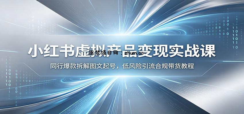 小红书虚拟产品变现实战课：同行爆款拆解图文起号，低风险引流合规带货教程-逐梦项目网
