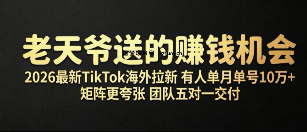 老天爷送的賺钱机会!2026最新TikTok海外拉新,有人单月单号10W+,矩阵更夸张,团队交付【揭秘】