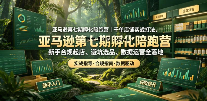 亚马逊孵化陪跑营|千单店铺实战打法,新手合规起店、避坑选品、数据运营全落地(更新0708)