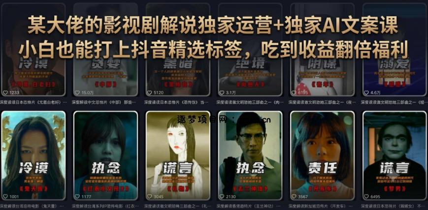 某大佬的影视剧解说独家运营+独家AI文案课,小白0粉丝也能快速打上抖音精选标签、吃到收益翻倍福利-逐梦项目网