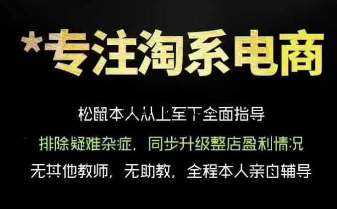 松鼠会电商VIP课程,从基础布局到高阶优化,助你掌握淘宝运营逻辑,提升店铺流量与转化(更新0711)