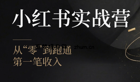 金金老师·小红书实战营-逐梦项目网