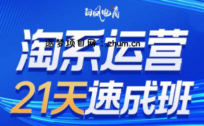 白凤电商·淘系运营21天速成班(更新7月)-逐梦项目网