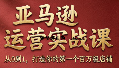 skyla·亚马逊运营实战课(更新7月)-逐梦项目网
