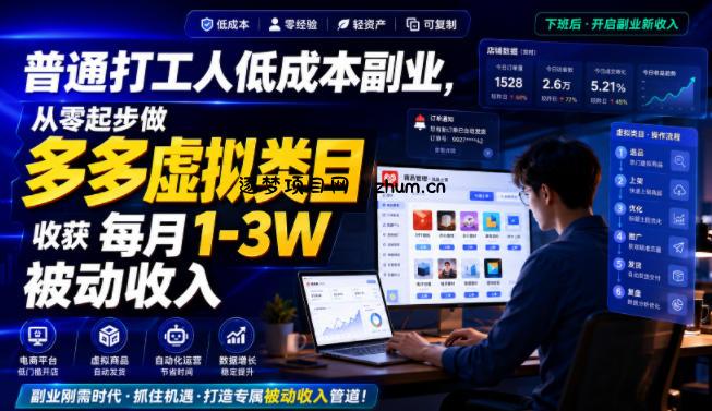 普通打工人低成本副业，从零起步做多多虚拟类目，收获每月1-3W被动收入【揭秘】-逐梦项目网