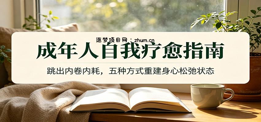 成年人自我疗愈指南:跳出内卷内耗,五种方式重建身心松弛状态-逐梦项目网