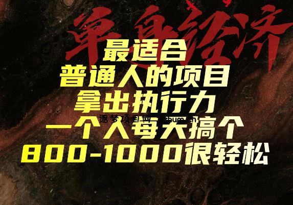最适合普通人的项目，拿出执行力一个人每天搞个800-1k很轻松【揭秘】-逐梦项目网