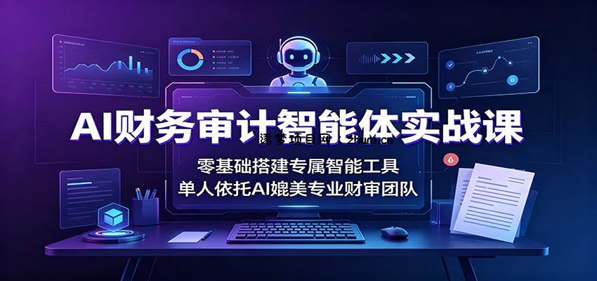 AI财务审计智能体实战课:零基础搭建专属智能工具,单人依托AI媲美专业财审团队-逐梦项目网