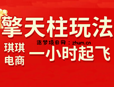 琪琪电商·拼多多擎天柱玩法(更新7月)-逐梦项目网