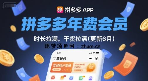 拼多多年费会员,实经验分享操,时长拉满,干货拉满(更新260804)-逐梦项目网