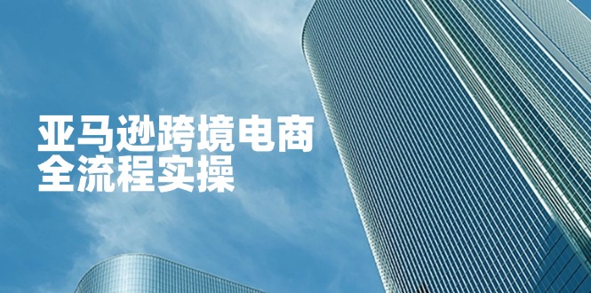 （14252期）亚马逊跨境电商全流程实操，教你从零开始，掌握店铺运营与广告技巧-逐梦项目网