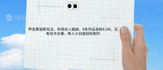 AI养生赛道新玩法，10条作品涨粉5.2W，操作简单，新人小白能轻松制作-逐梦项目网