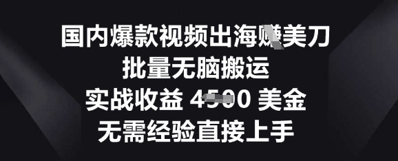 国内爆款视频出海挣美刀，批量无脑搬运，实战收益4.5k，无需经验直接上手-逐梦项目网