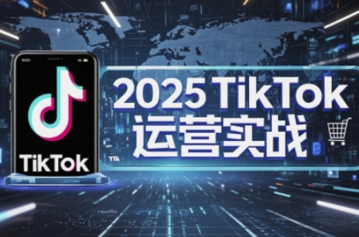 2025TikTok电商运营,掌握TikTok店铺运营核心技巧,实现低成本高转化-逐梦项目网