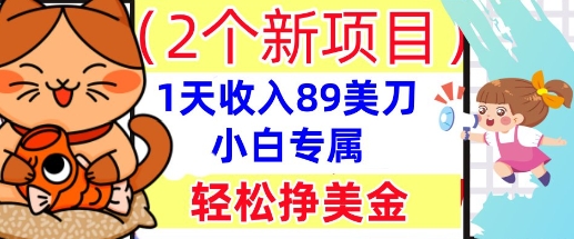 2个新项目，轻松挣美金， 1天收入89美刀，小白专属，干货分享-逐梦项目网