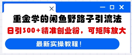 重金学的闲鱼野路子引流法，日引300+精准创业粉，可矩阵放大-逐梦项目网