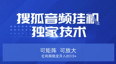 【搜狐音频挂G】独家技术，可矩阵可放大，红利期稳定月入8k【揭秘】-逐梦项目网