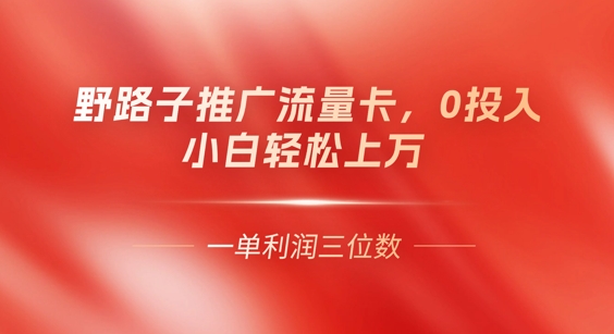 0门槛推广流量卡，一单收益上百，0投入，小白月入过W-逐梦项目网
