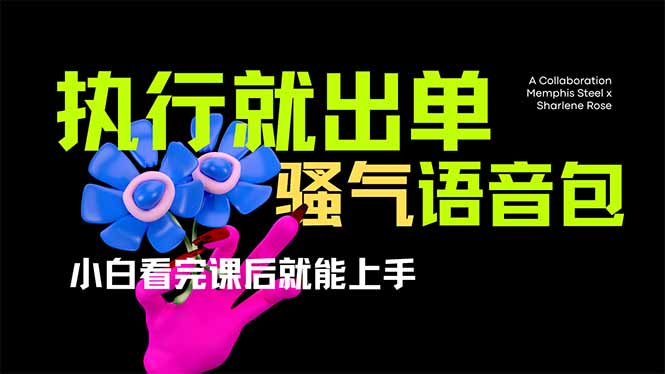 （14170期）爆火全网的开车导航骚气语音包,只要执行就出单，小白看完课程就能实操…-逐梦项目网