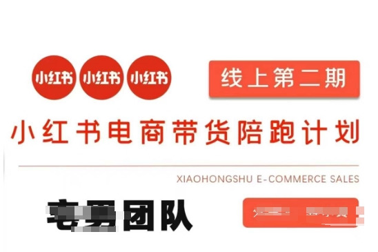 小红书电商带货课2期，月利润20个的小红书电商的有货源，无货源，虚拟产品，付费投流等整套玩法-逐梦项目网