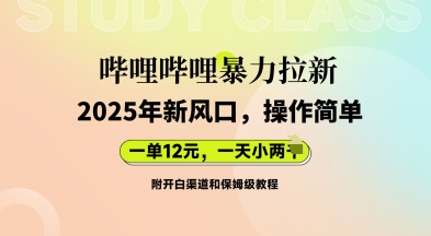 哔哩哔哩暴力拉新：2025年新风口，一单12元，一天数张(附开白渠道和保姆级教程)-逐梦项目网