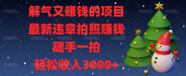 解气又挣钱的项目，最新违章拍照挣钱，随手一拍，轻松收入数张【揭秘】-逐梦项目网
